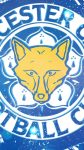 Leicester City FC iPhone X Wallpaper